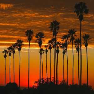 WAV文件_遗留暂存