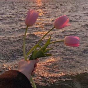 Froggy-海南没有雪 也没有你（Sapling remix）