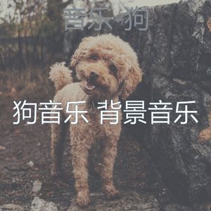 音乐-狗