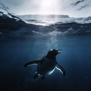 Shore (Acoustic Version)