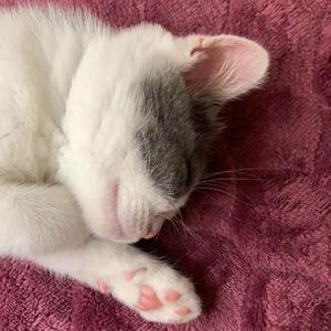 思い出せなくなるその日まで