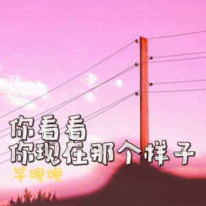 你看看你现在那个样子