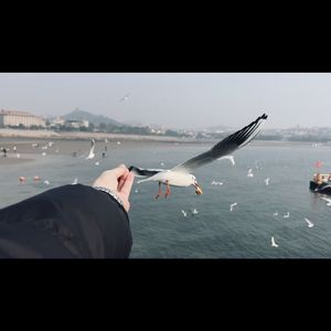 孤独是生命的礼物