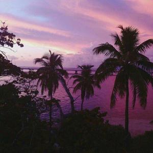 澎湃社会人(Remix)