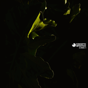 Laser Eyes (Original Mix)