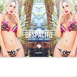 Luis Fonsi-Despacito女声改版（DJLayDiMusic Remix）