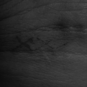 전하지 못한 마음