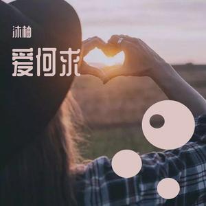 爱何求(女声版)