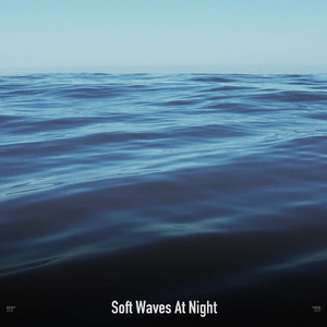 Solitude of the Seashore