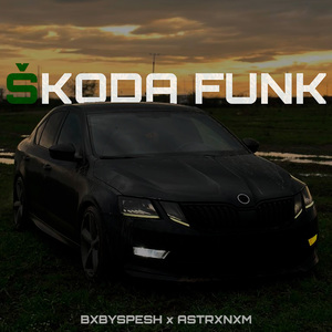 SKODA FUNK