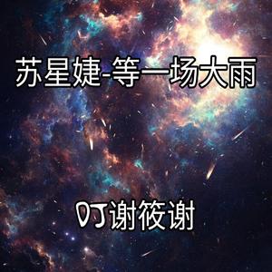 苏星婕-DJ谢筱谢 - 苏星婕-等一场大雨（DJ谢筱谢版）（DJ谢筱谢 remix）
