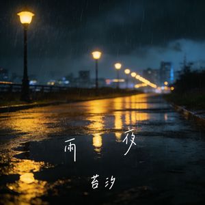 雨夜