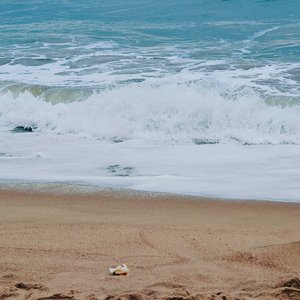 你要的爱（Cover:戴佩妮）