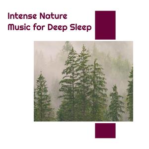 Oceanic Peaceful Nature Mountain