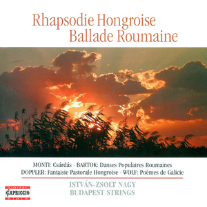 Roman nepi tancok (Romanian Folk Dances), BB 68 (arr. for flute and strings): No. 5. Poarga Romaneasca