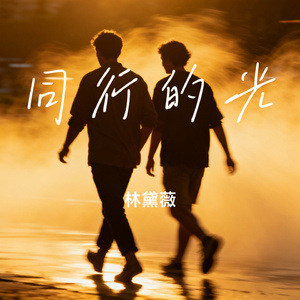同行的光