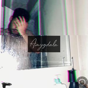 Amygdala