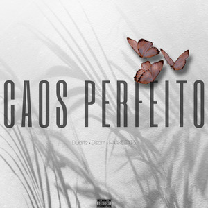 CAOS PERFEITO