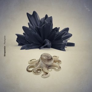 Les yeux de la tête