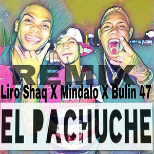 El Pachuche (Remix) [feat. Bulin 47 & Liro Shaq]