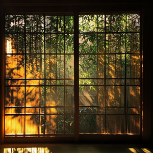 中医养生乐·火音（舒心畅气 祛燥安神）