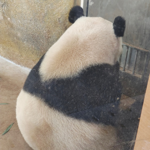 三号线