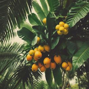 Coco Bambu by @atomicoriginalband8216