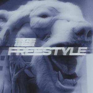 混蛋FREESTYLE(Prod by BECU BEATZ)