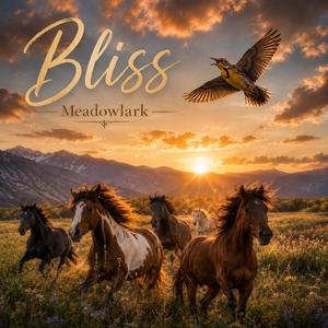 Bliss