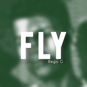 Fly
