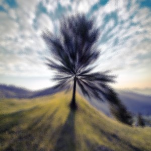 Nucleophilically