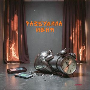 Разбудила меня