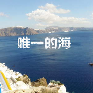 唯一的海