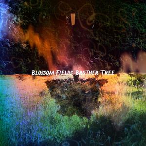 Blossom Fields, Brother Tree