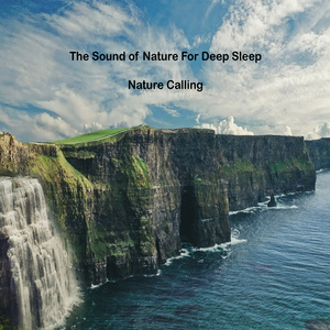 비가 내리는 한적한 공원