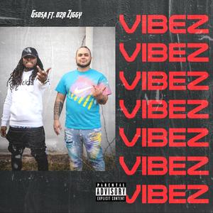 Vibes (feat. D2R Ziggy)