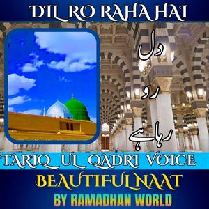 Dil Ro Raha Hai (feat. Tariq ul Qadri)