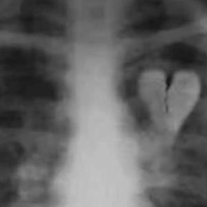 《★ I’m a Rocker ★》prod blueroomboy&YoungMarkin