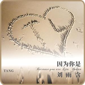 因为你是刘雨含