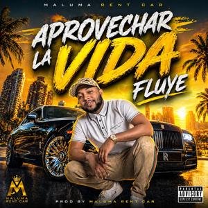 Aprovechar la vida
