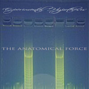 The Anatomical Force