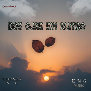 Dos Ojas Sin Rumbo (En Vivo) (Remasterizado)