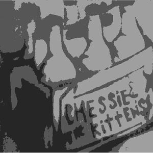 Ahh! (It's the ChesKats!)