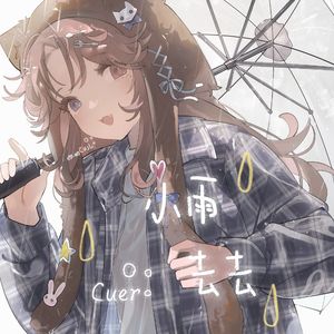 小雨去去