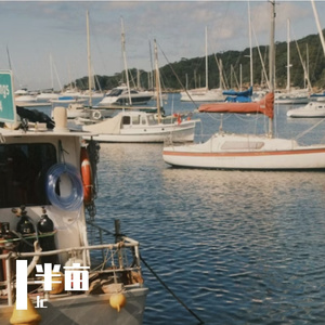 半亩