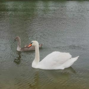 A relaxing start to 2024