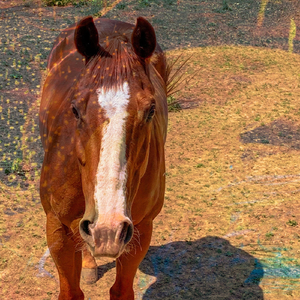 Smile If You've Crossed Over (Other Side Mix)