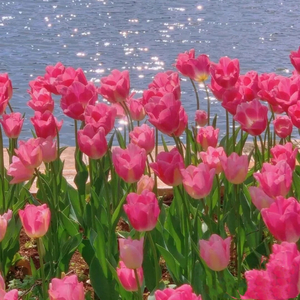 龚玉坤-小小胡萝卜 - 这世界那么多人 3.14.mp3