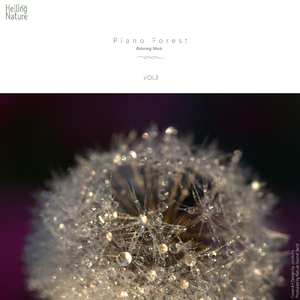 바닷가 앞에서 (With Rain Sound)