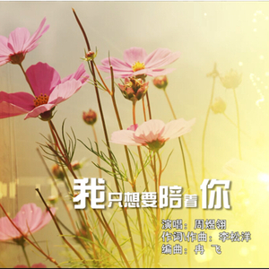 我只想要陪着你